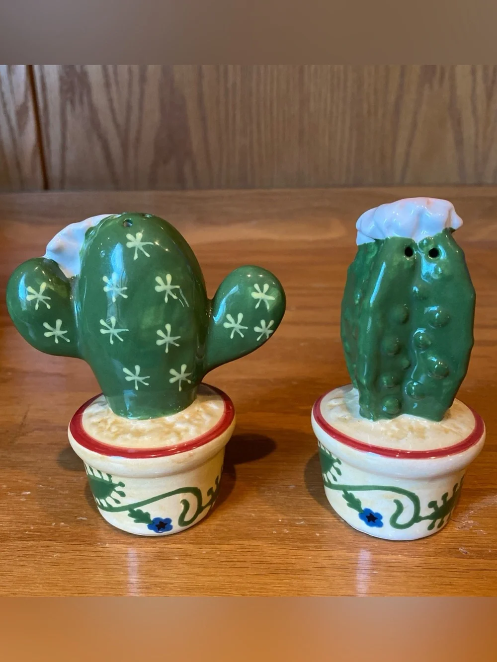 Ceramic Cactus Salt And Pepper Shakers Hand Painted 4” Tall